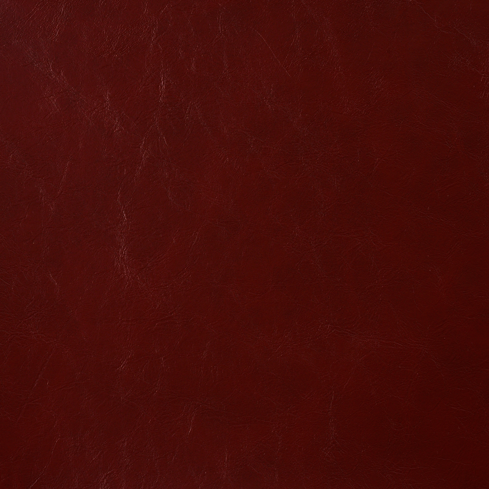 SADDLE 008