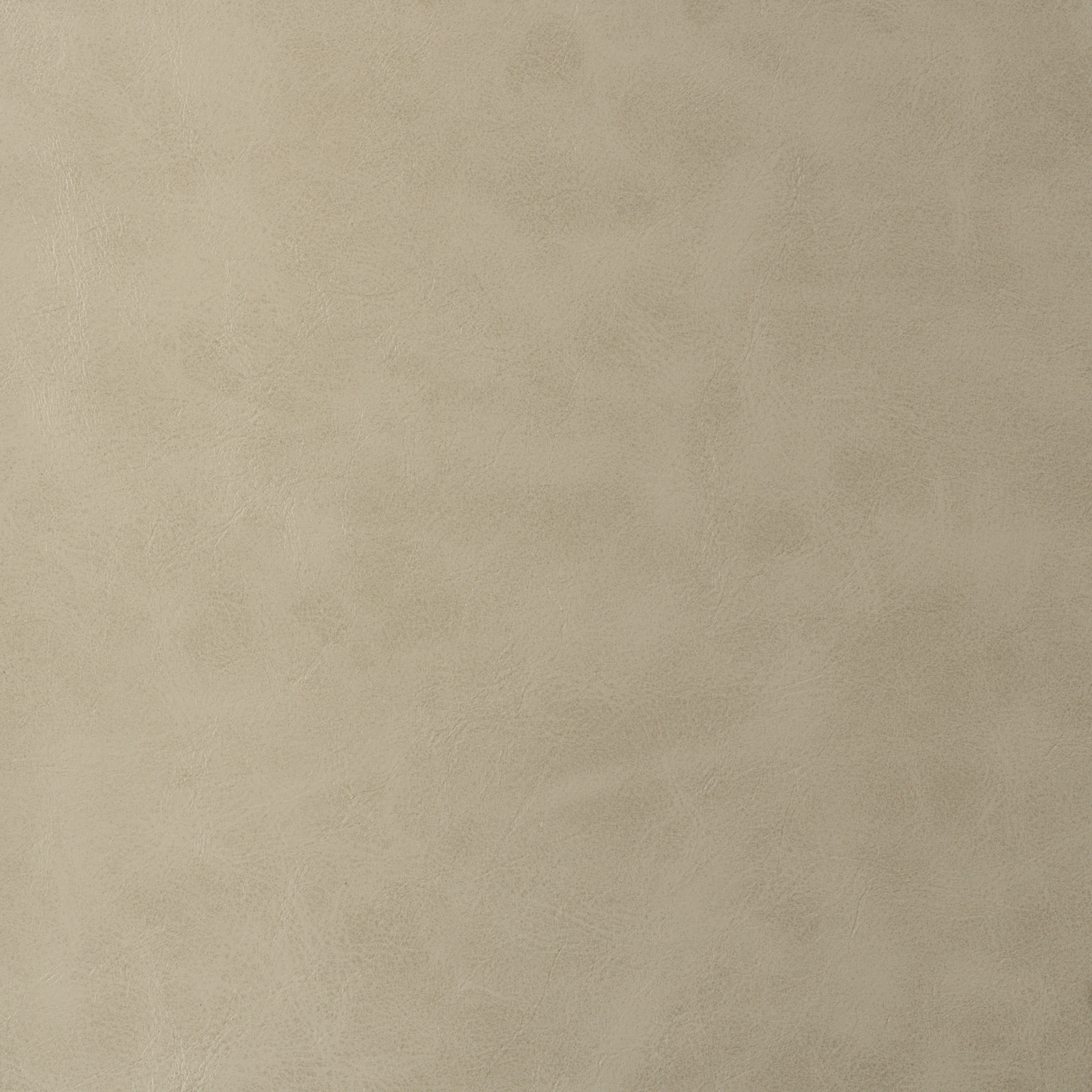 SADDLE 020