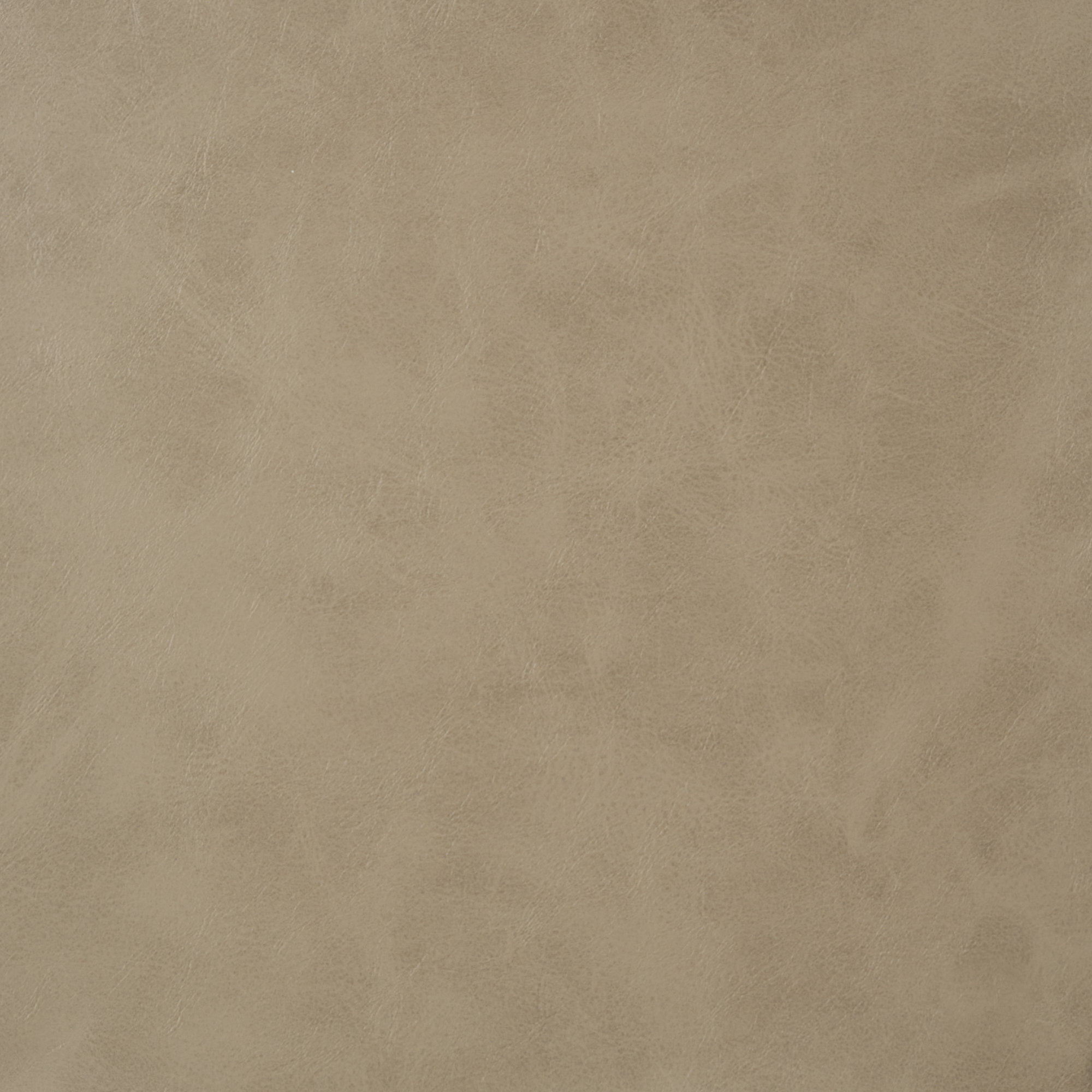 SADDLE 021