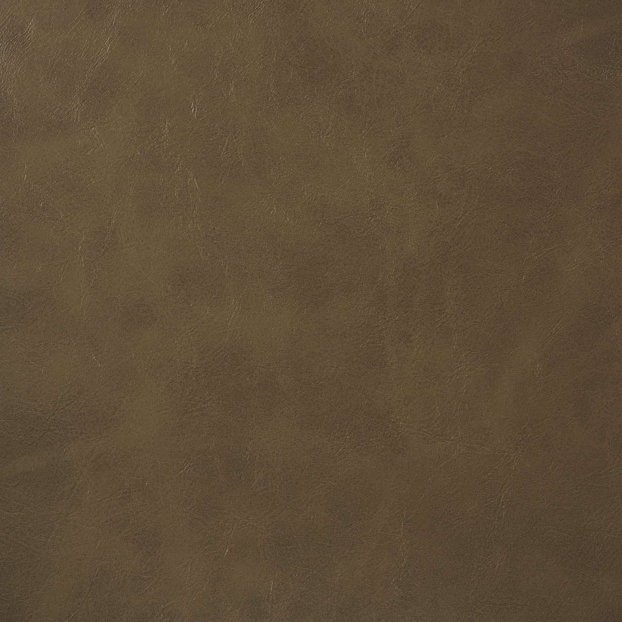 SADDLE 210